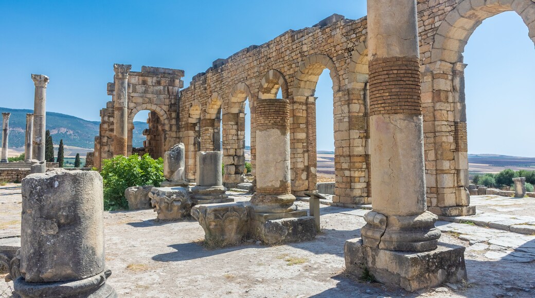 Roman arches in the ruins of Volubilis, Morocco