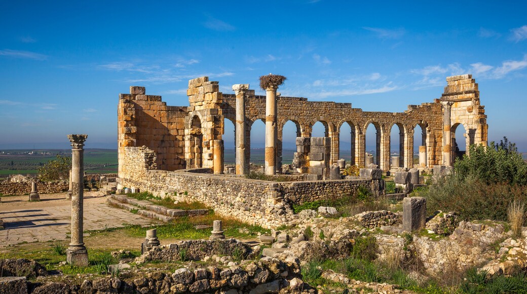 View of the Basilica, Volubilis, Morocco