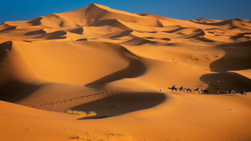 Merzouga, Marokko, Erg Chebbi, Sahara, Wueste mit Karavane