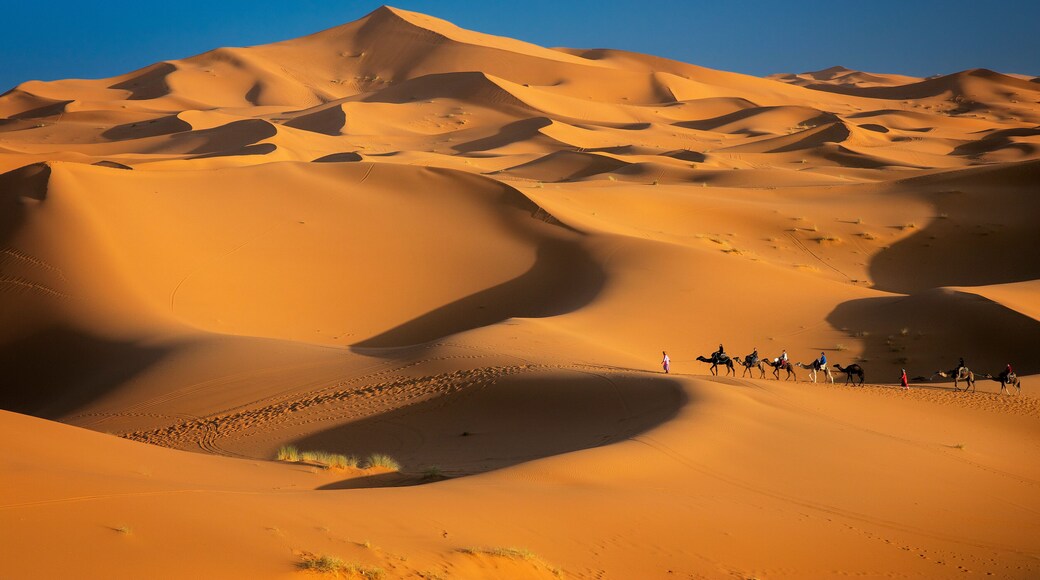 Erg Chebbi