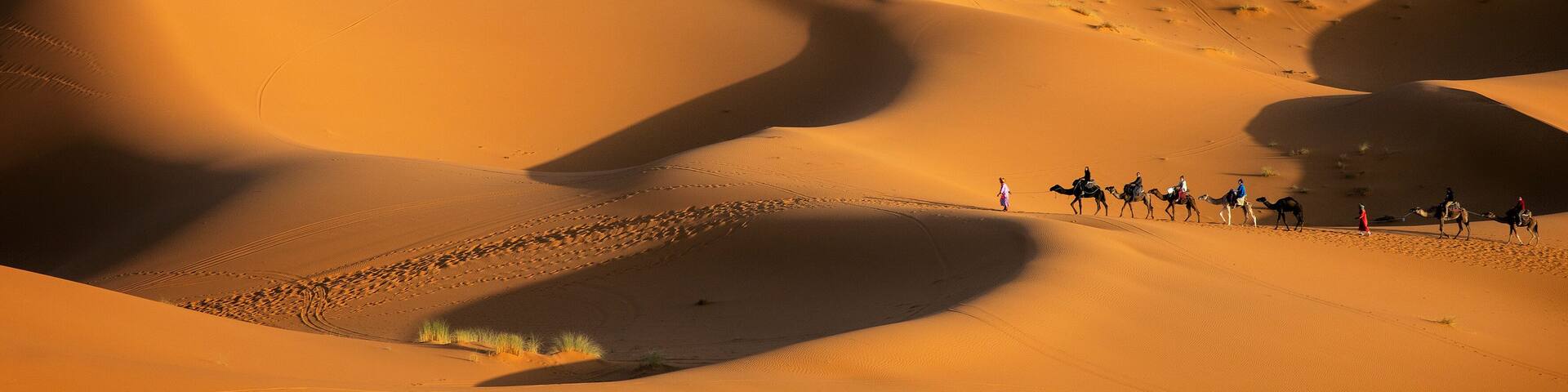 Merzouga, Marokko, Erg Chebbi, Sahara, Wueste mit Karavane