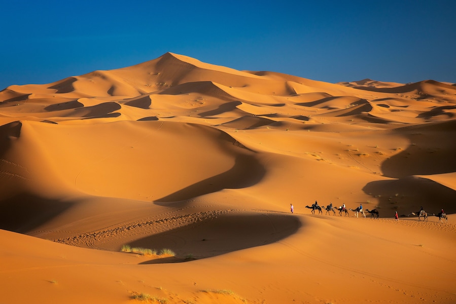 Merzouga, Marokko, Erg Chebbi, Sahara, Wueste mit Karavane