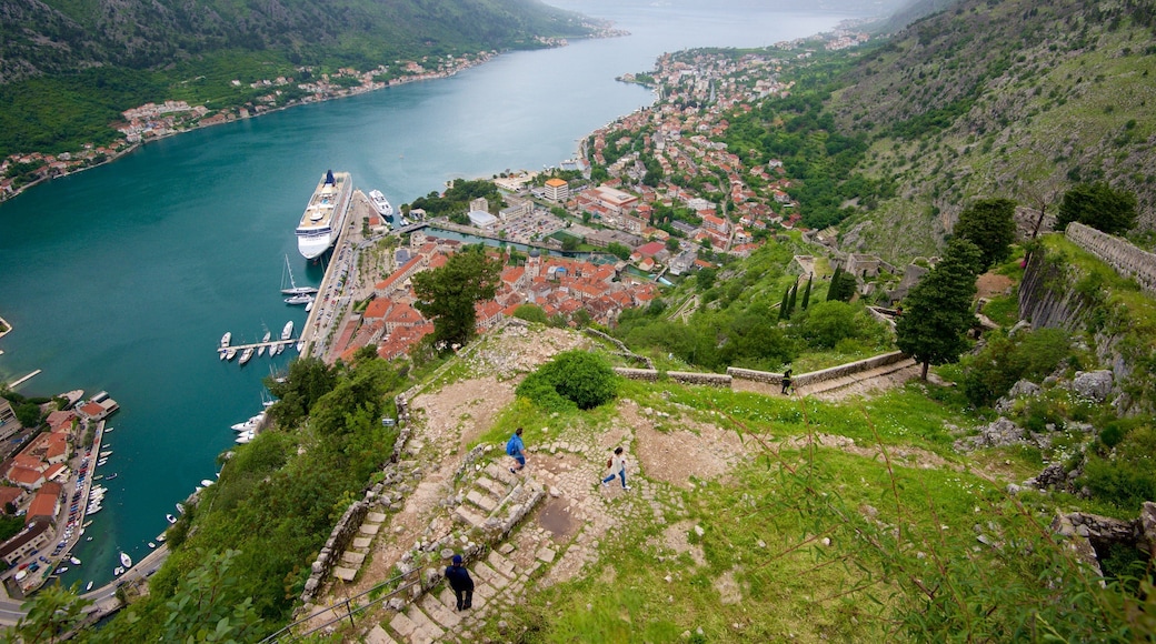 Vieux remparts de Kotor mettant en vedette marina, patrimoine historique et ville côtière