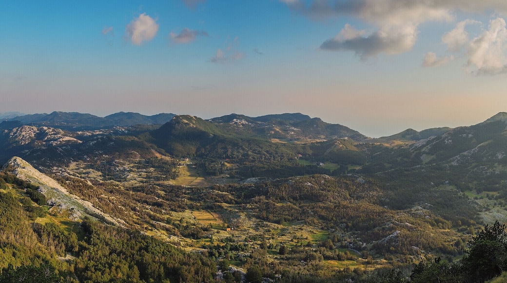 Enjoy the pleasure of finding the clouds