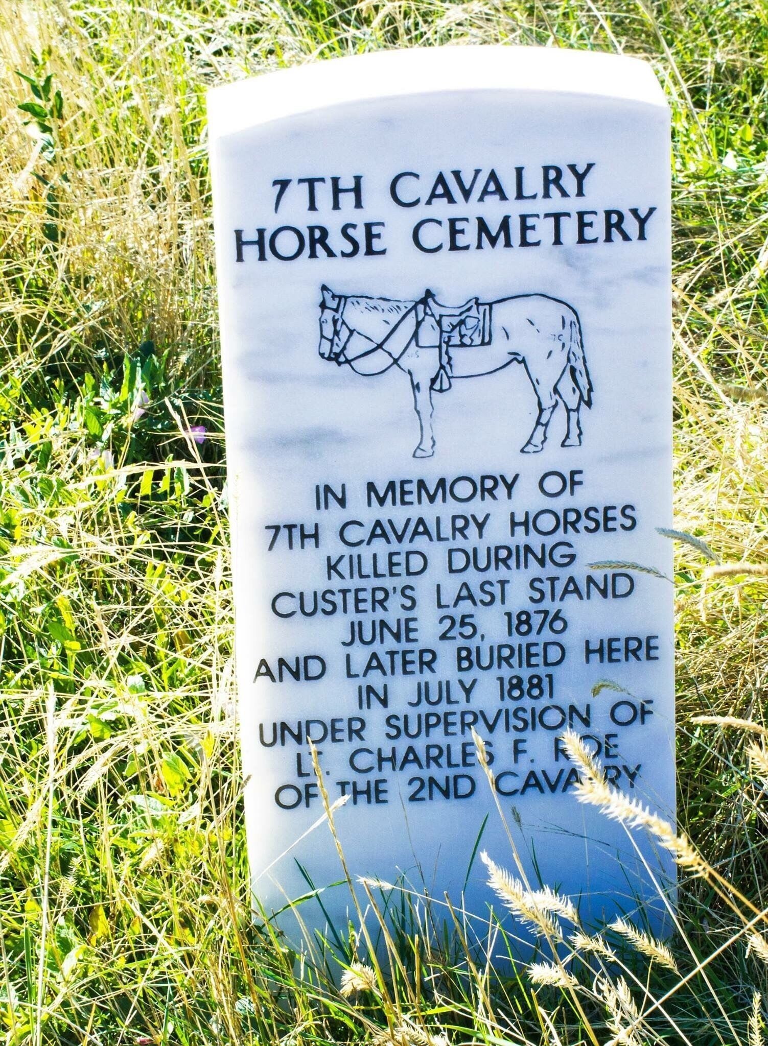 THE 7TH CAVALRY HORSE CEMETERY (Little Big Horn).
