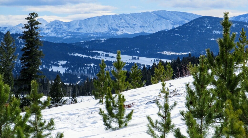 snow covered mountains