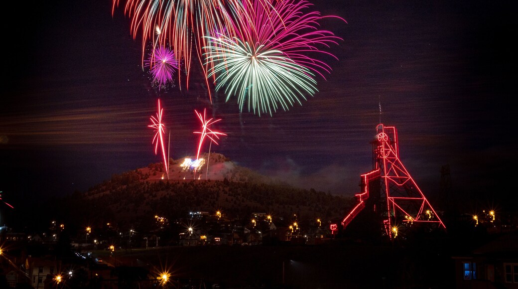蒙大拿大學理工分校