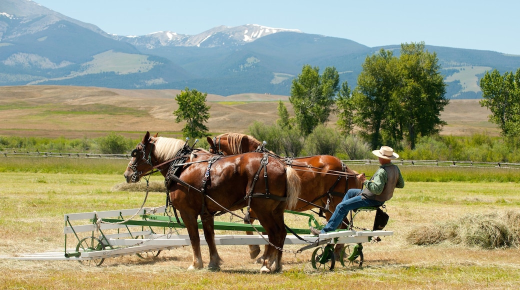 그랜트-코어스 대목장 국립사적지