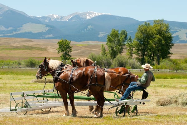 Grant-Kohrs Ranch National Historic Site