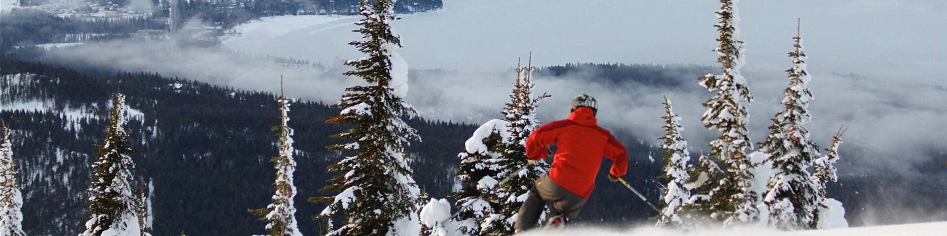 A skier in a red jacket descending a snowy slope with evergreen trees and a valley in the background.