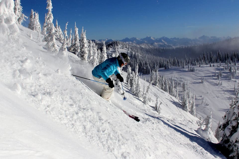 A skier on a snowy slope with snow-covered trees and distant mountains.