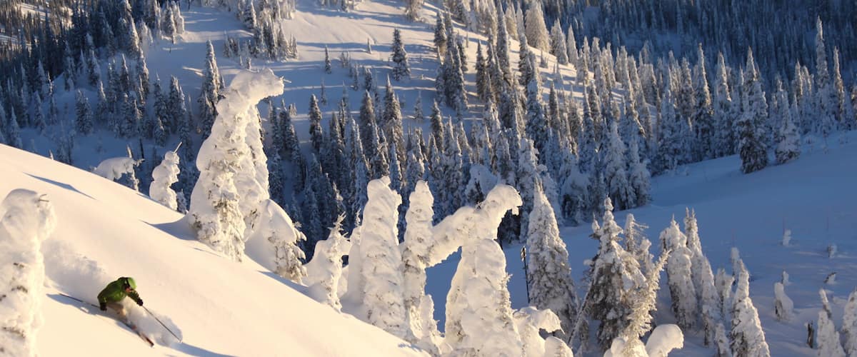 Whitefish Mountain Ski Resort ofreciendo bosques y nieve
