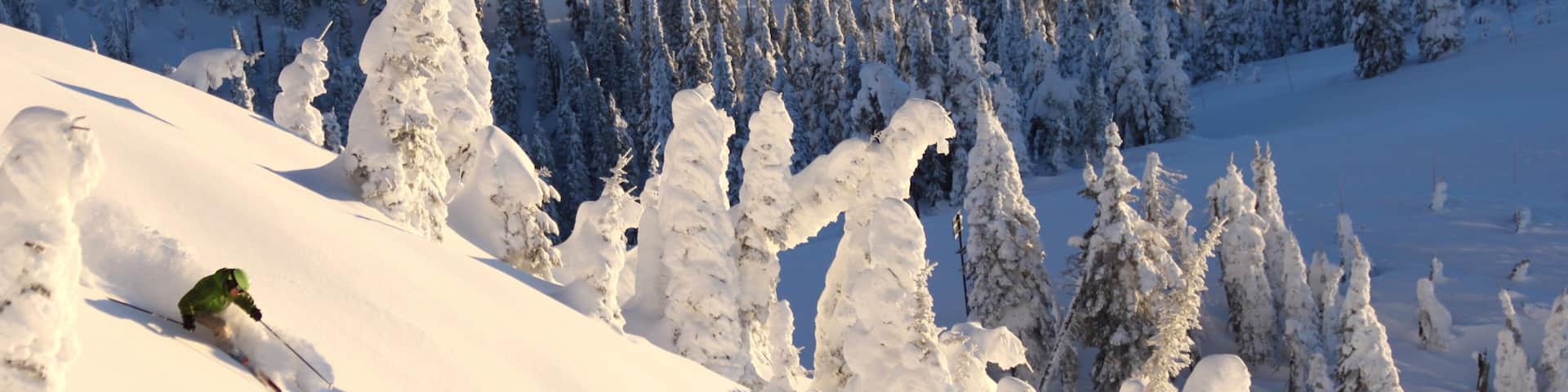 Station de ski de Whitefish Mountain mettant en vedette forêts et neige