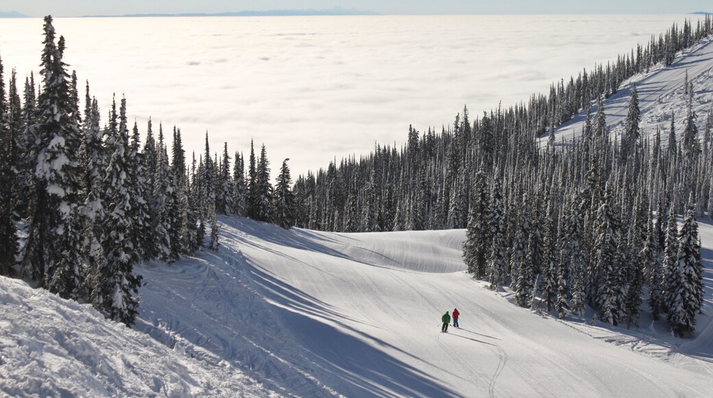 Whitefish Mountain Ski Resort
