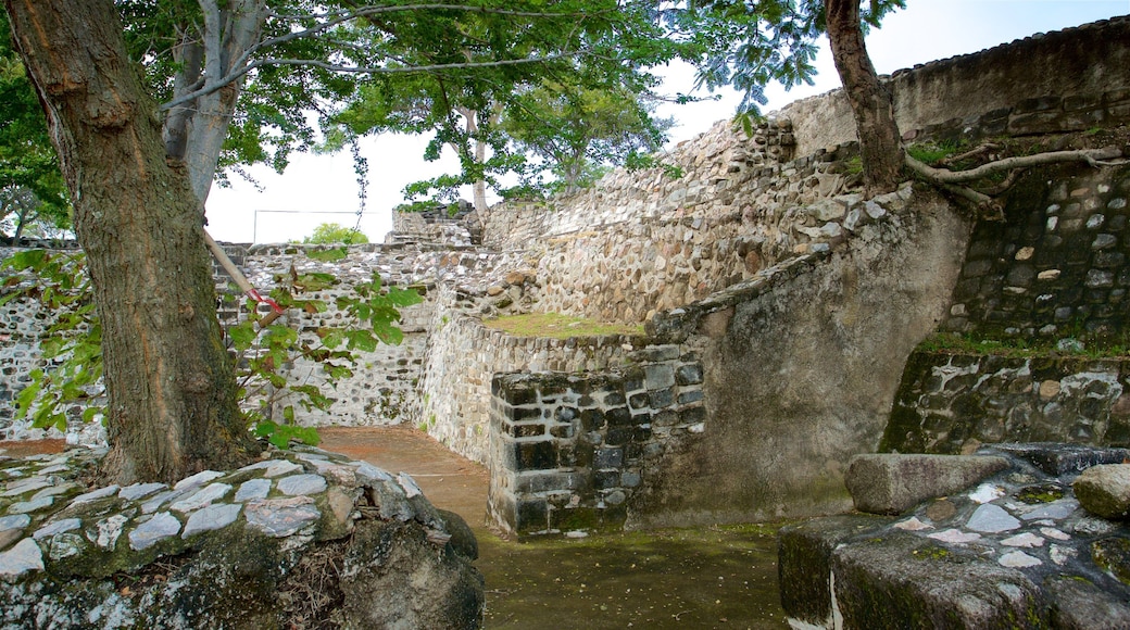 Archaeological Monuments Zone of Xochicalco showing a ruin