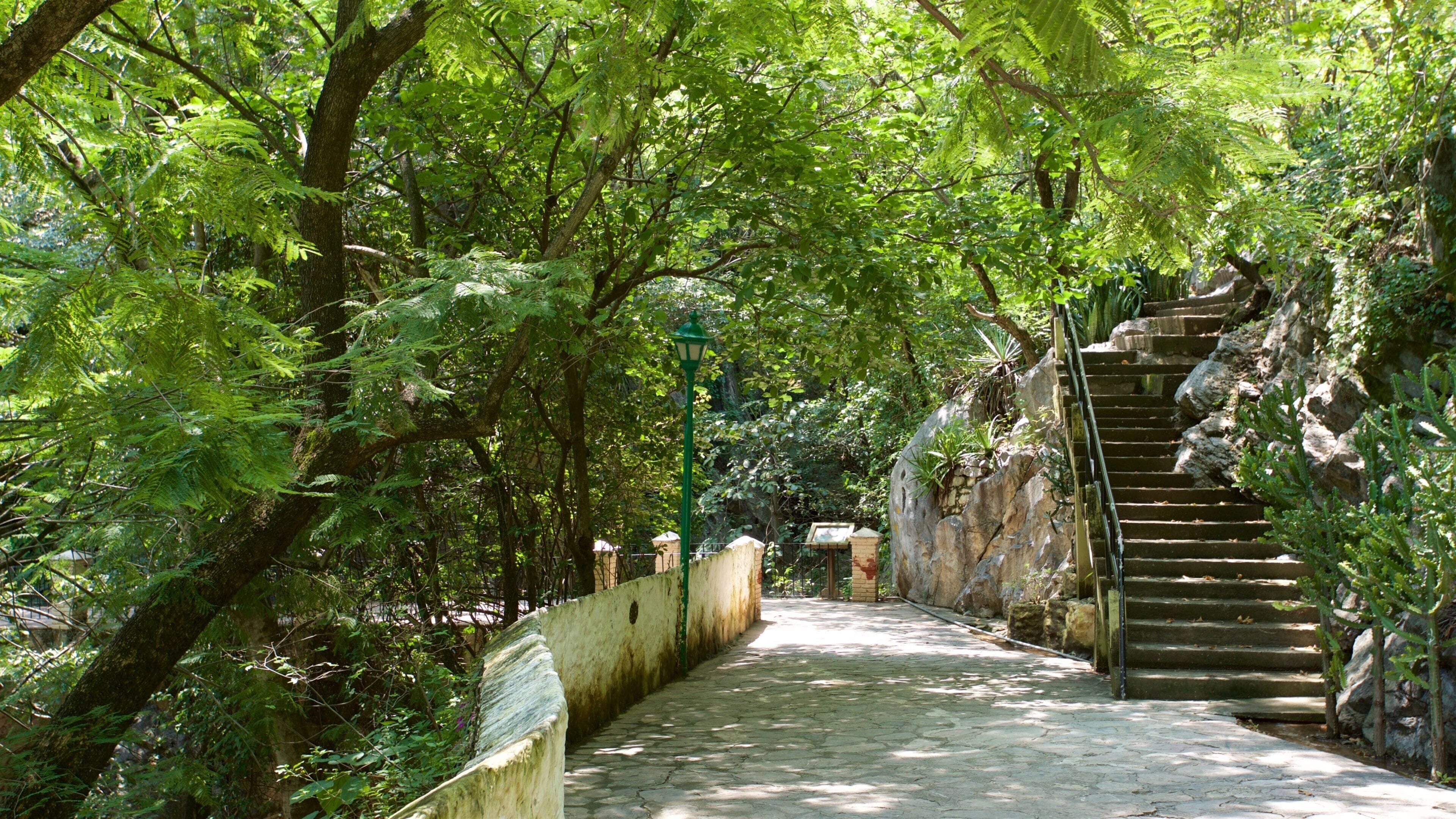 Taxco which includes a park