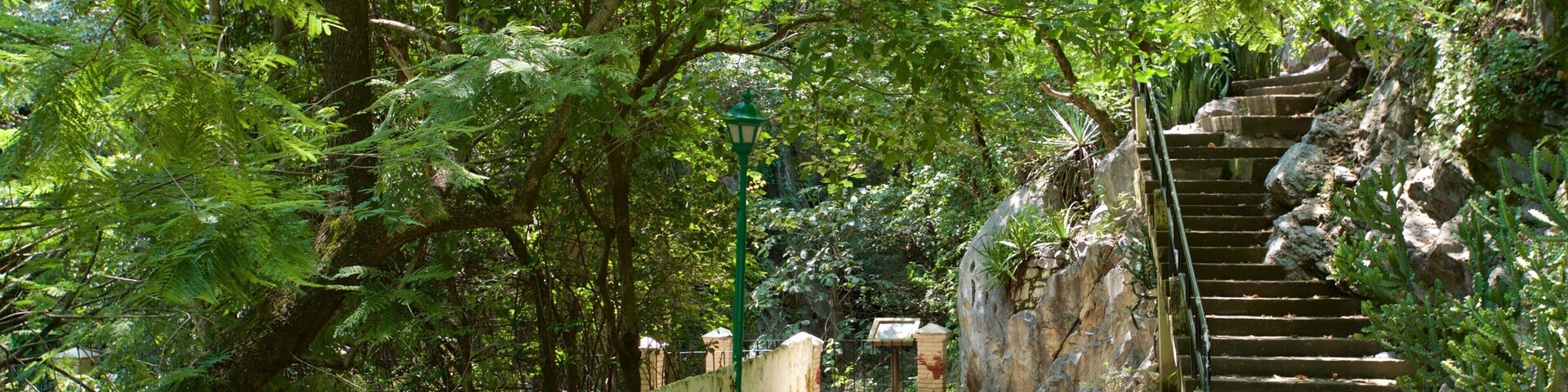 Taxco featuring a garden