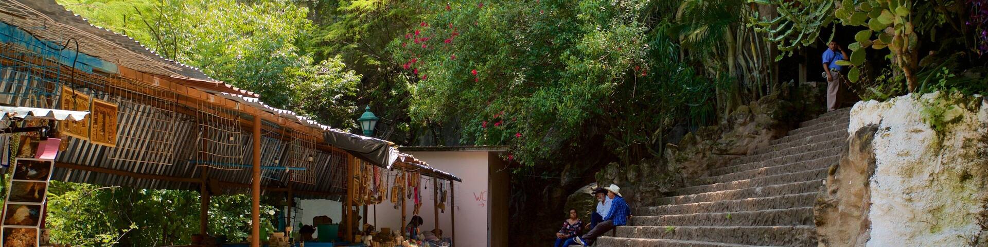 Grutas de Cacahuamilpa National Park which includes a garden