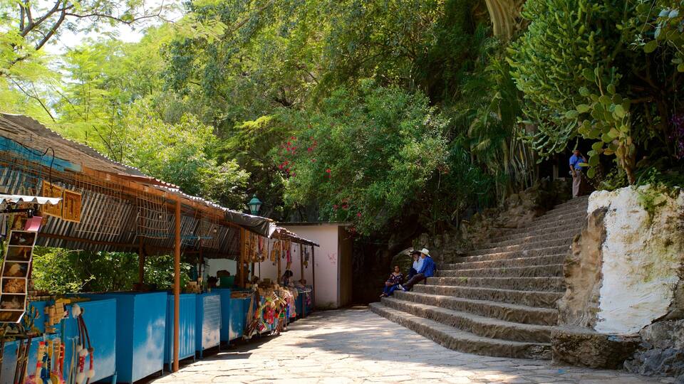 A staircase leading up to a building surrounded by lush greenery.
