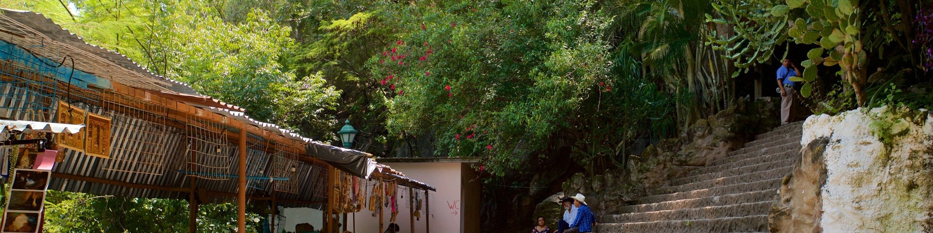 Grutas de Cacahuamilpa National Park which includes a garden