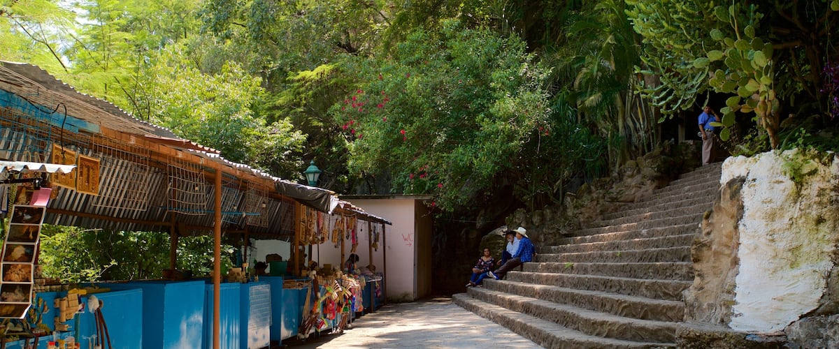 A staircase leading up to a building surrounded by lush greenery.