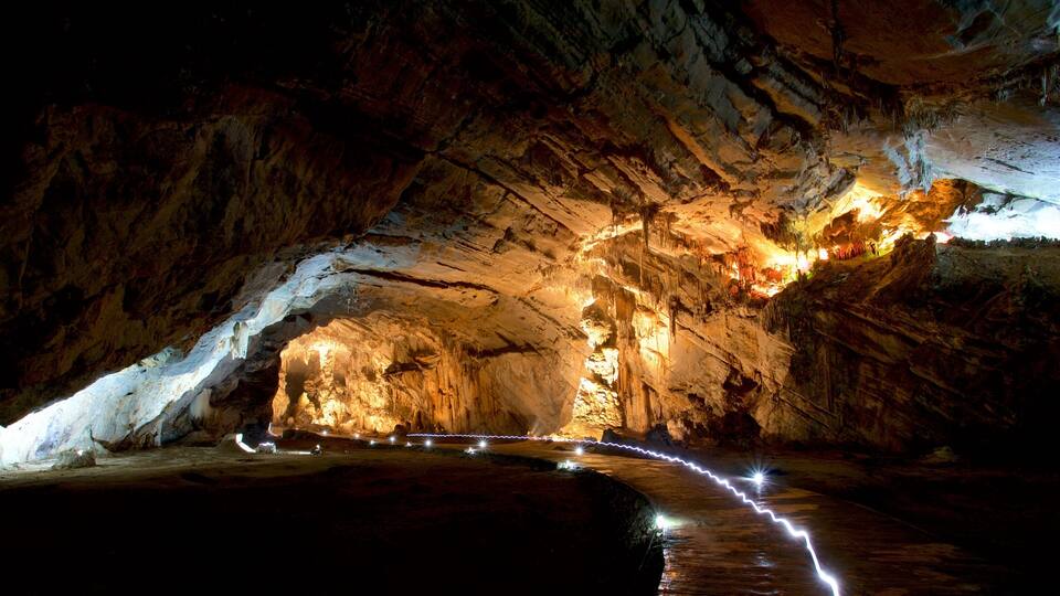 A cave with illuminated stalactites and a winding path.