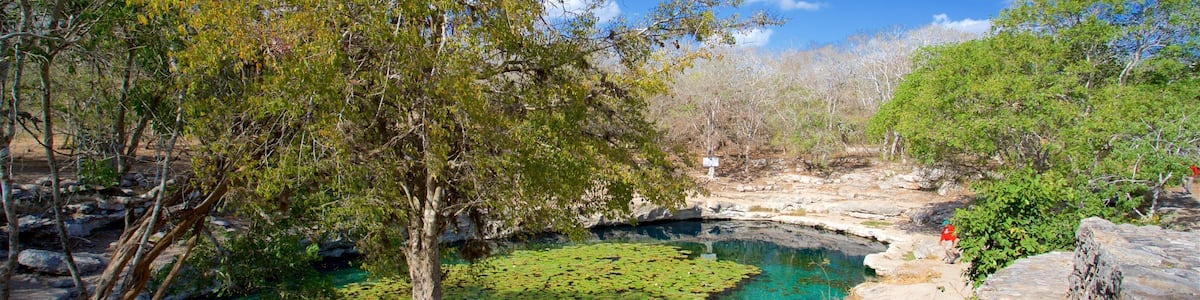 Dzibilchaltún montrant mare