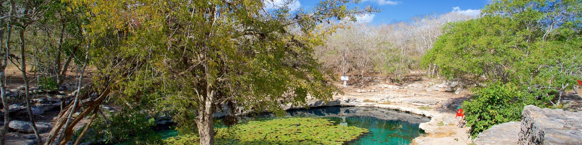 Dzibilchaltun Ruins which includes a pond