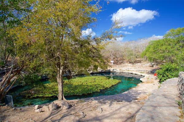 Dzibilchaltun Ruins which includes a pond