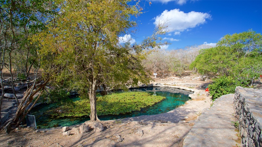 Dzibilchaltun Ruins which includes a pond