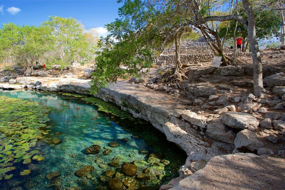 A clear pool with rocks and lily pads, surrounded by trees and a stone wall.