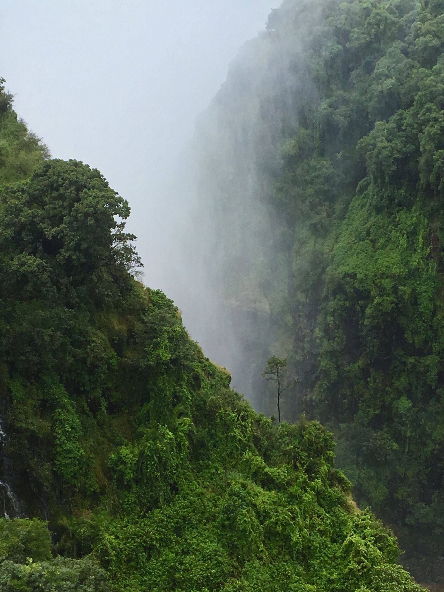 View of The Gorge that runs perpendicular to Mosi-Au-Tunya/Victoria Falls from Victoria Bridge. The bridge is in the gap b/t the Zambia and Zimbabwe border.