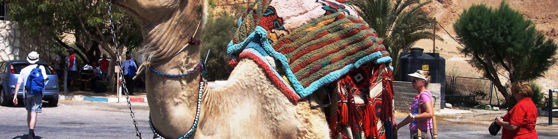 If you've never ridden a camel, you need to do it at least once. Of course, these short rides don't begin to compare to the ones at the Giza Plateau in Egypt.