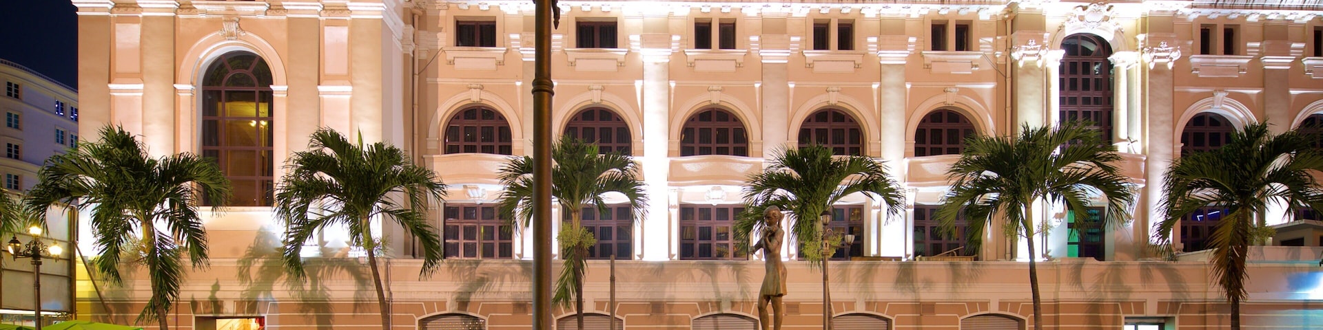 Opera House which includes heritage architecture, night scenes and a fountain