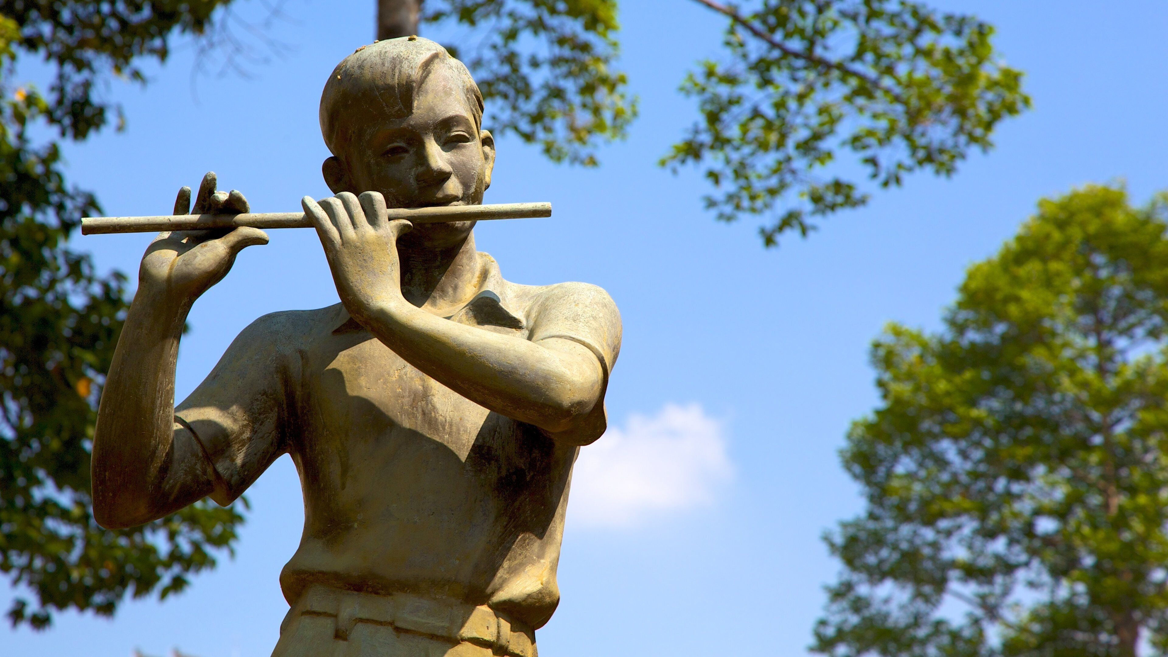 Opera House showing a statue or sculpture