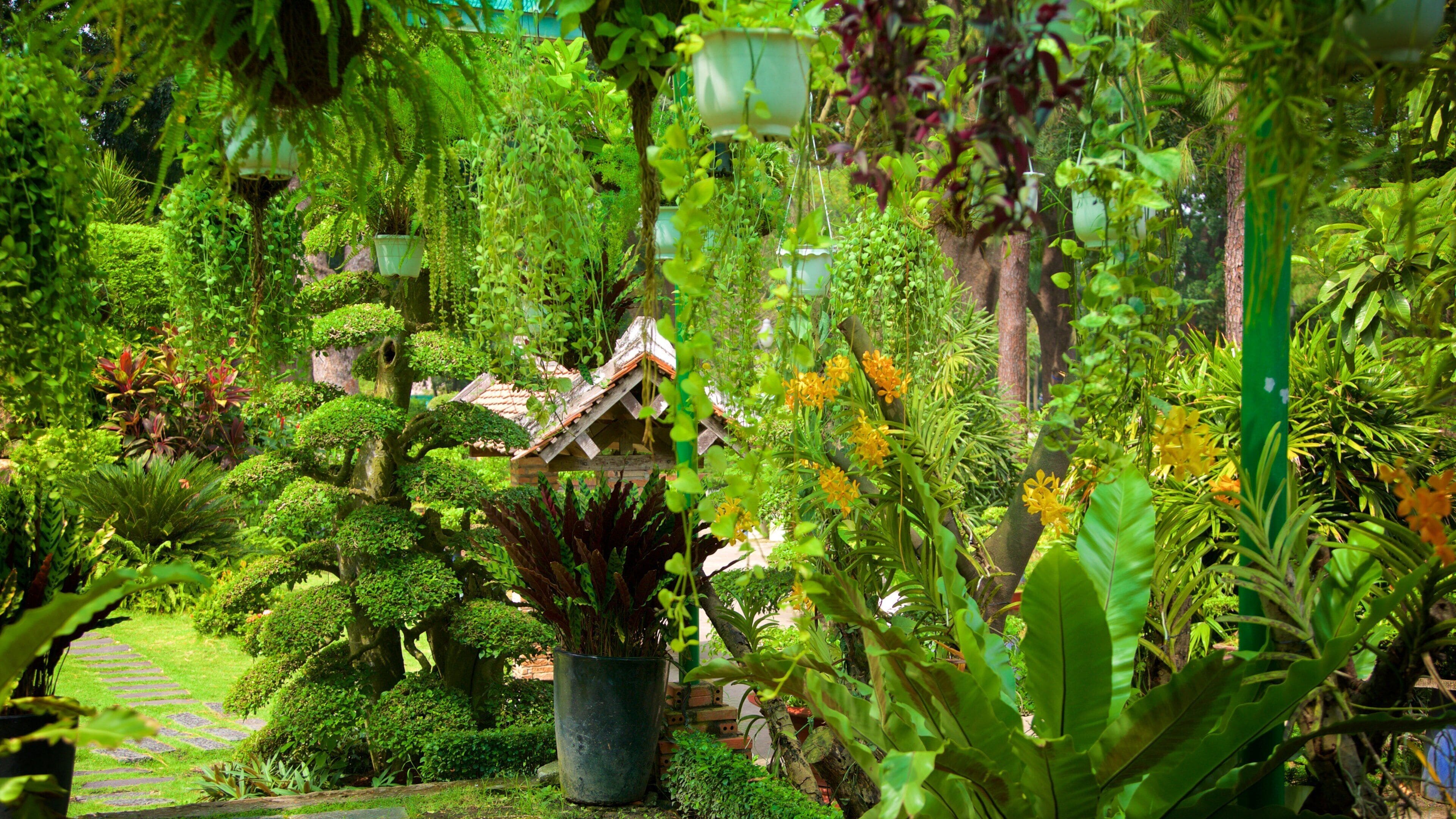 Saigon Zoo and Botanic Garden which includes a garden