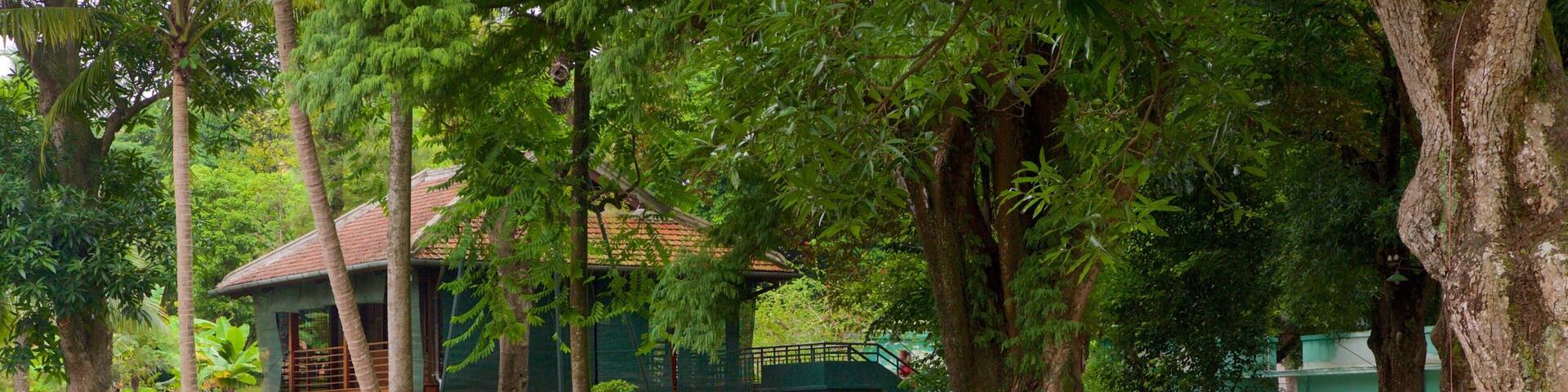 Hanoi som omfatter en sø eller et vandhul og en have