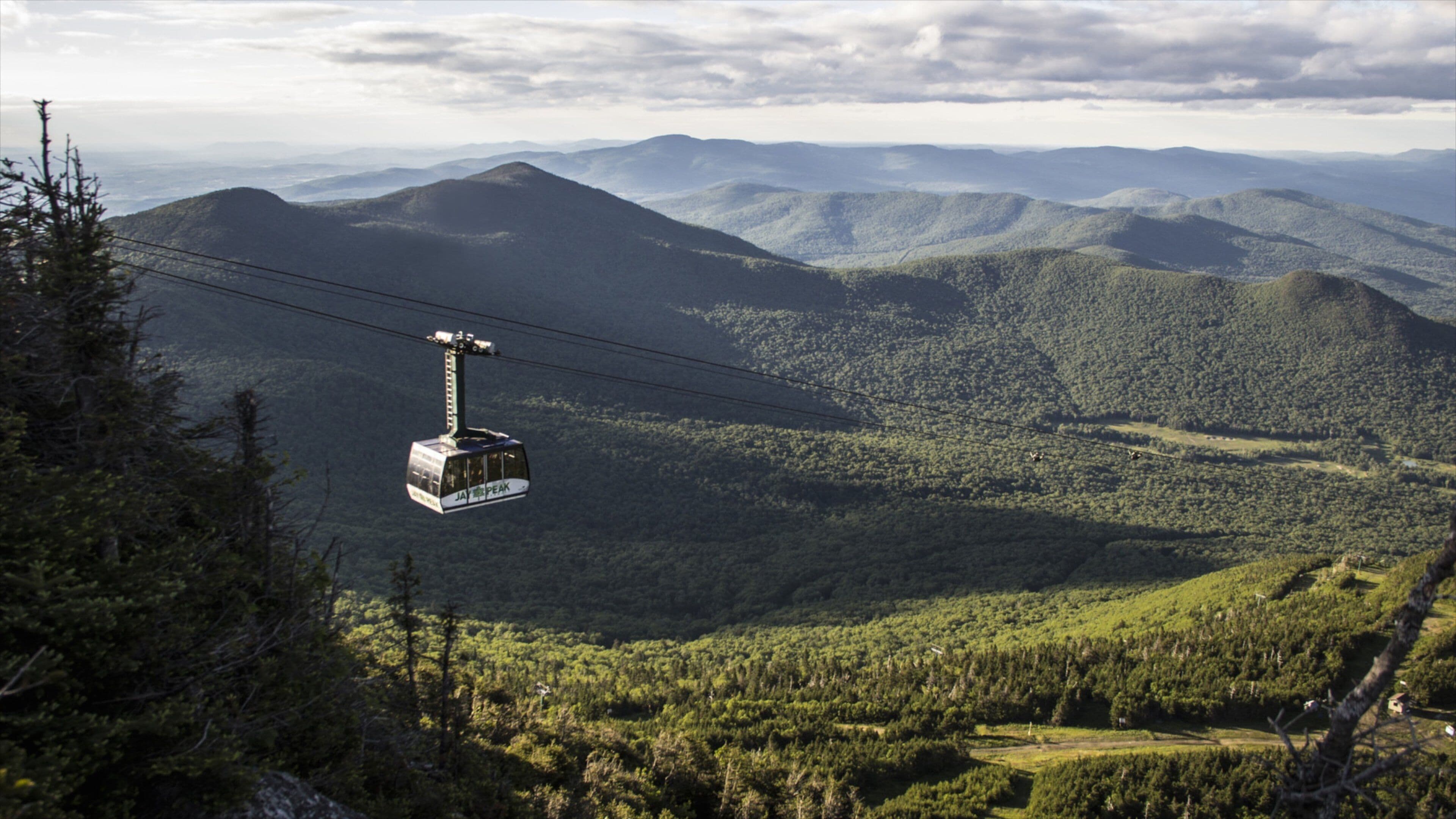 Jay Peak Ski Resort joka esittää metsänäkymät, maisemat ja gondoli
