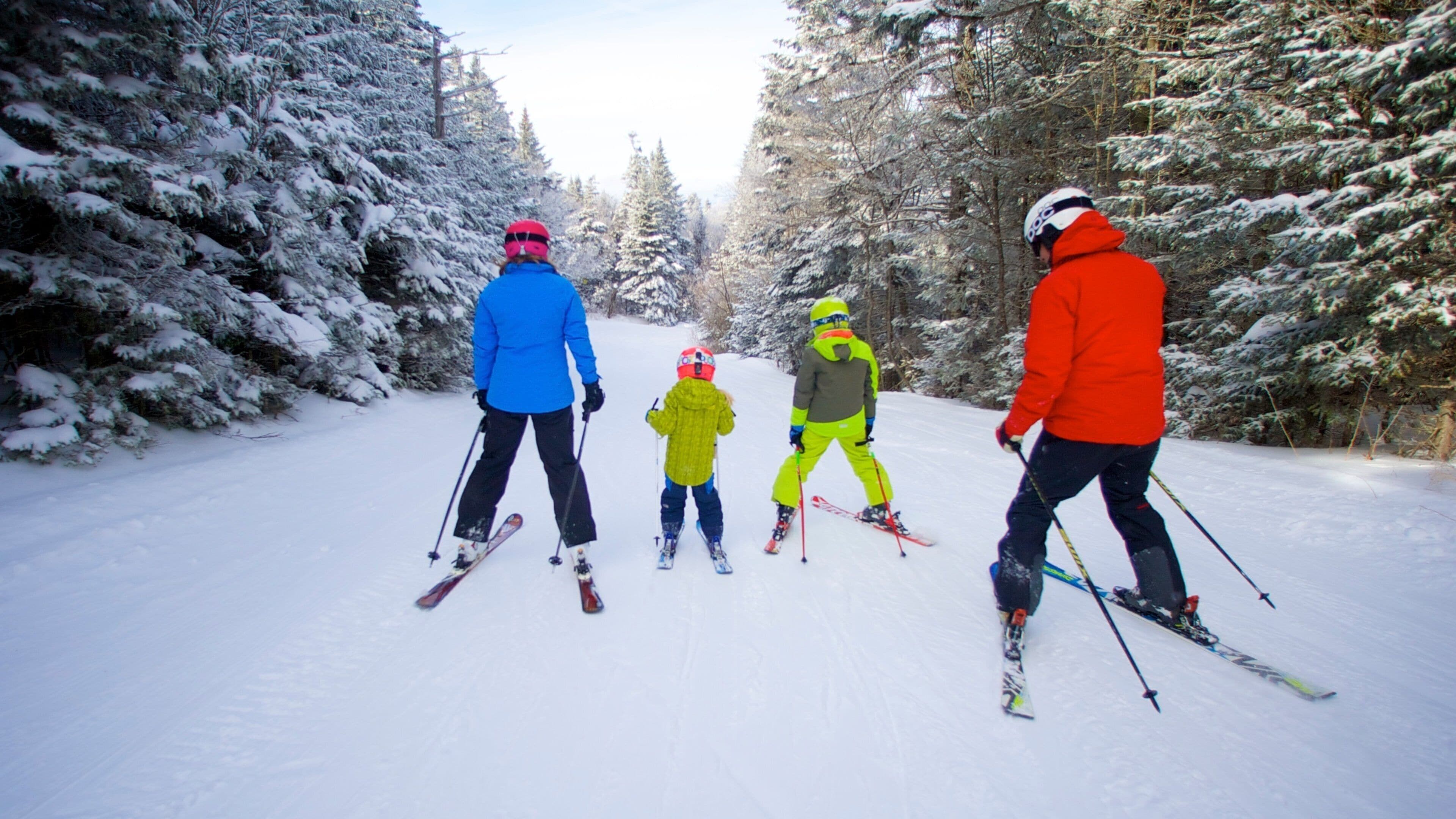A group of skiers on a snow-covered trail surrounded by trees.