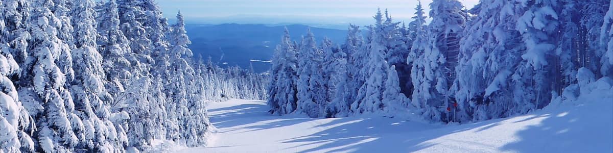 Okemo Valley Golf Club mit einem Schnee und Wälder