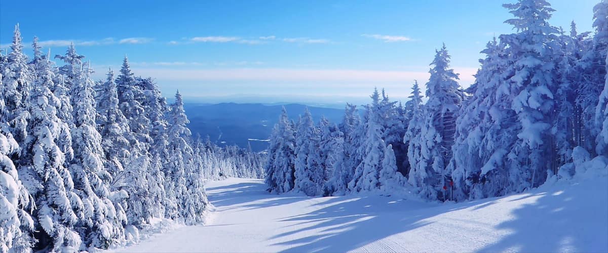 Okemo Valley Golf Club showing forest scenes and snow