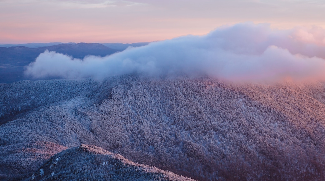 A mountainous landscape with a forested area covered in snow.