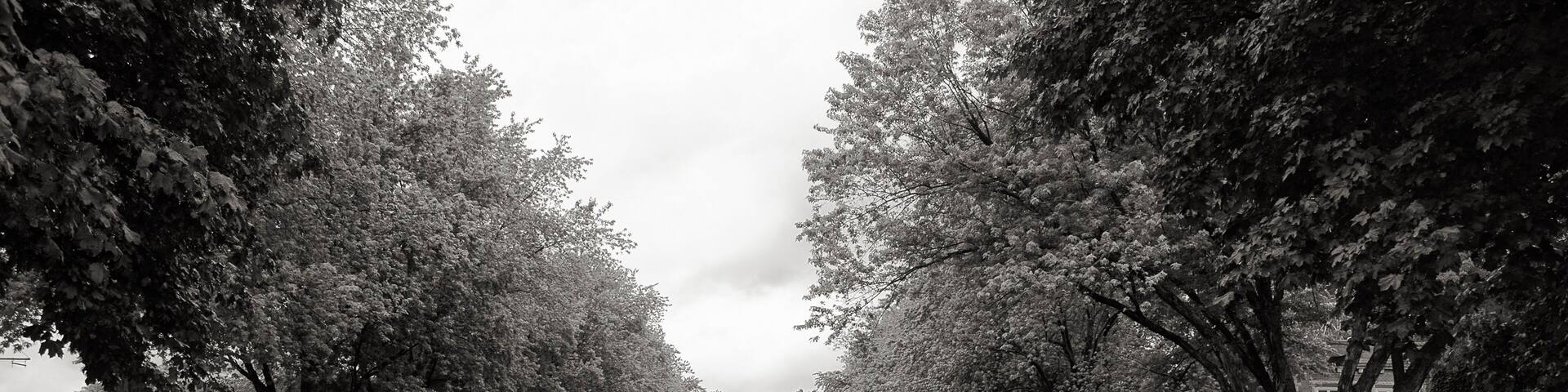 Black & White Parade Field