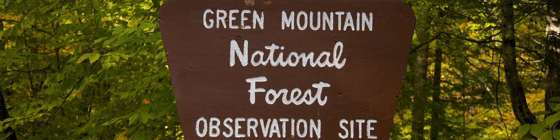 Green Mountain National Forest featuring signage and forests