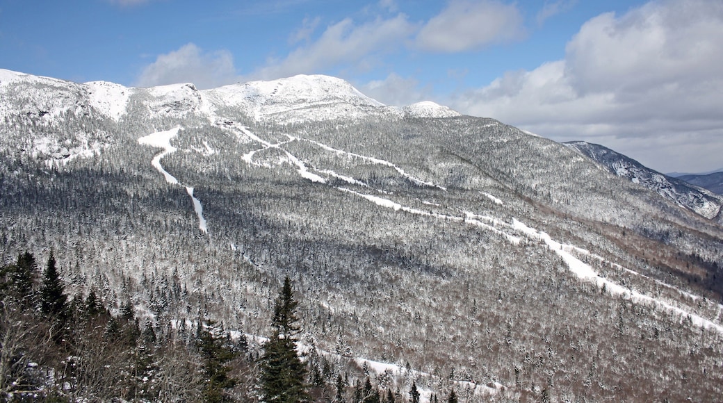 Stowe Mountain Resort featuring mountains, snow and forest scenes