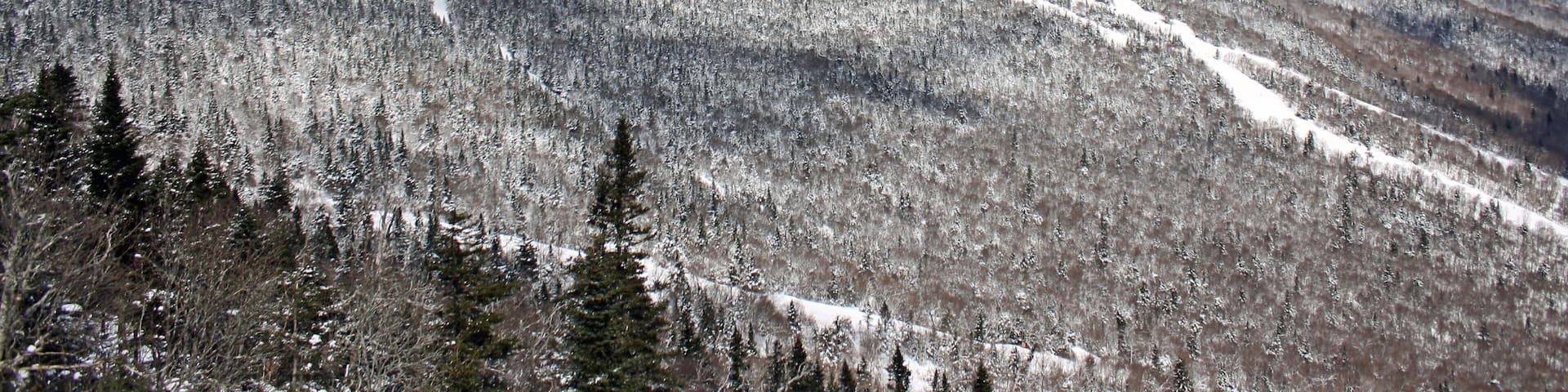 Stowe Mountain Resort featuring mountains, snow and forest scenes