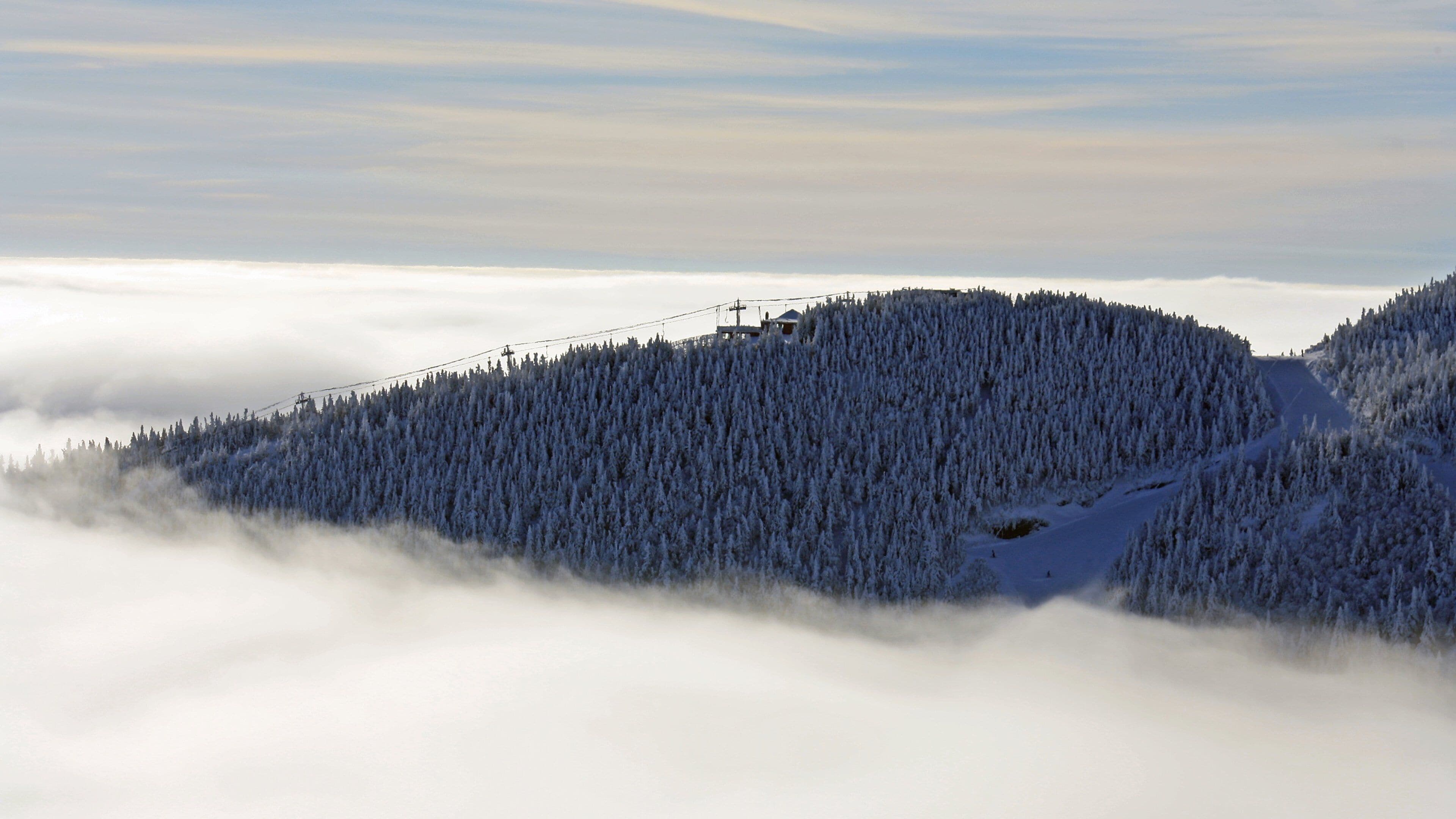 Stowe Mountain Resort featuring mist or fog, snow and forests