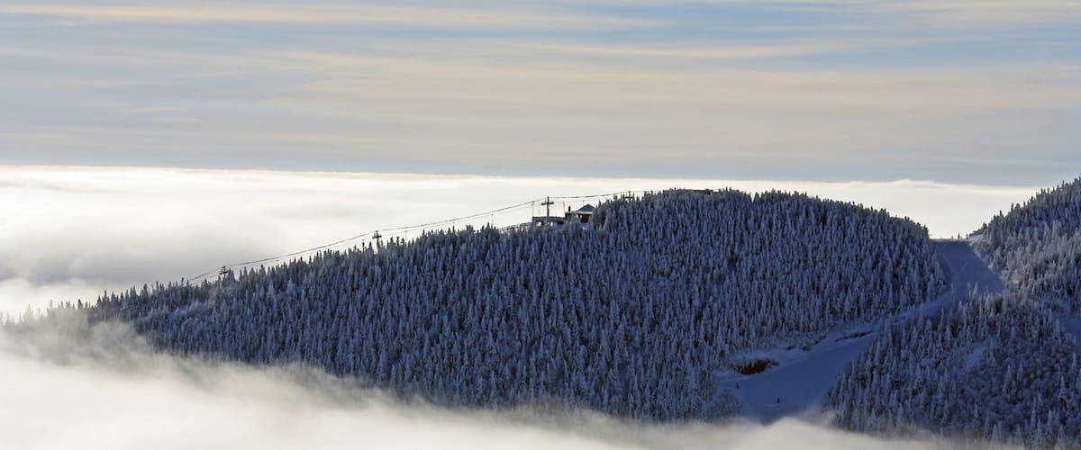 Stowe Mountain Resort featuring forests, snow and mist or fog