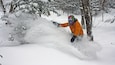 En person som åker snowboard i en snöig skog.