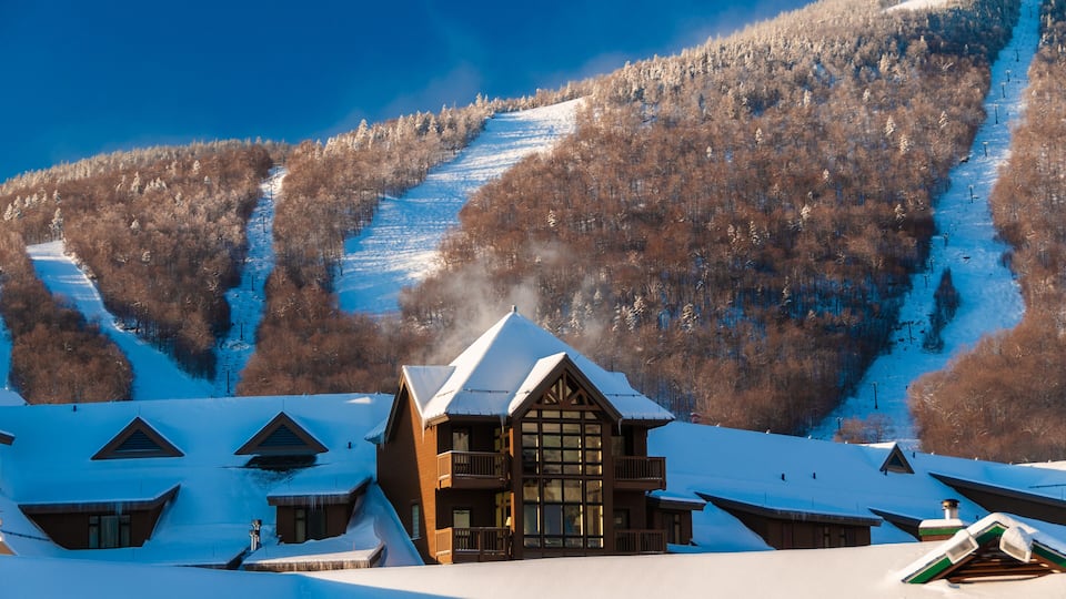 A snow-covered lodge with a ski slope in the background.
